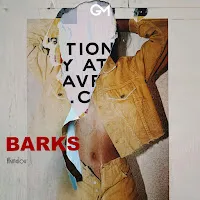 Akmalov — Barks — обложка